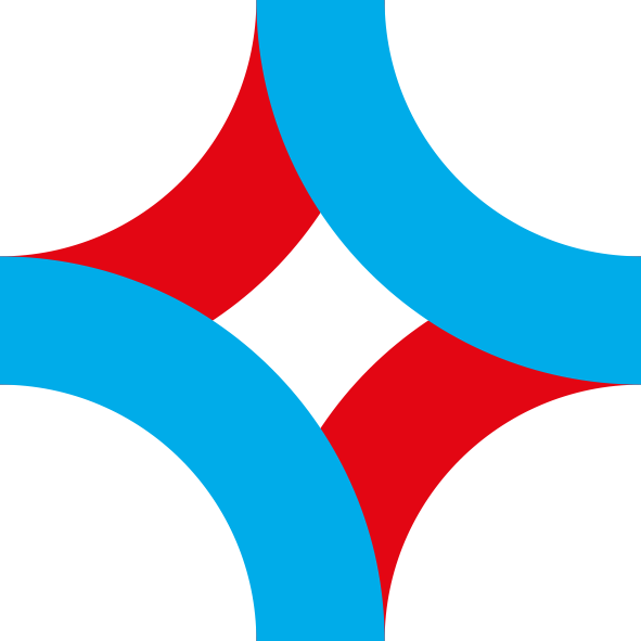 The Supervisory Board